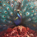 Opeth - Sorceress (Vinyle Usagé)
