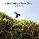 Chris Wollard And The Ship Thieves - Canyons (Vinyle Usagé)