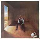 Don McLean - Homeless Brother (Vinyle Usagé)