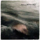 Small Brown Bike - The River Bed (Vinyle Usagé)