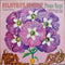 William Bolcom - Heliotrope Bouquet: Piano Rags 1900-1970 (Vinyle Usagé)