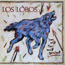 Los Lobos - How Will the Wolf Survive (Vinyle Usagé)