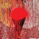 Demons Claws - The Defrosting Of (Vinyle Usagé)