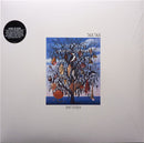 Talk Talk - Spirit Of Eden (Vinyle Usagé)
