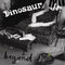 Dinosaur Jr - Beyond (Vinyle Neuf)