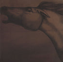 Julian Lynch - Mare (Vinyle Usagé)