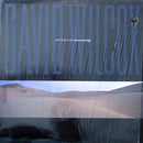 David Wilcox - The Natural Edge (Vinyle Usagé)