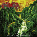 Carnation - Where Death Lies (Vinyle Usagé)