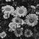 karloff - Karloff (Vinyle Usagé)