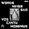 Vos Cantu Monemus - Words Never Said (Vinyle Usagé)