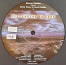 Stewart Walker / Dave Olson / Scott Radke - Descending To Zero (Vinyle Usagé)