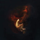 Ricinn - Nereid (Vinyle Usagé)