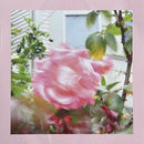 Reds Pinks And Purples - Summer At Land's End (Vinyle Usagé)