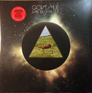 Govt Mule - Dark Side Of The Mule (Vinyle Usagé)