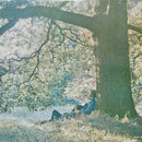 Yoko Ono - Plastic Ono Band (Vinyle Usagé)