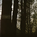 Cold Craving - Beacons (Vinyle Usagé)