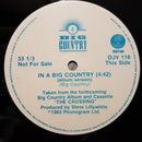 Big Country - In A Big Country (Vinyle Usagé)
