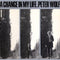 Peter Wolf  - A Change In My Life (Vinyle Usagé)