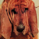 Ty Segall - Goodbye Bread (Vinyle Usagé)