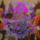 Wicked Awesomes - Punk Holograms (Vinyle Usagé)