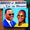 Amadou And Mariam - Tje Ni Mousso (CD Usagé)