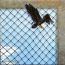 Little River Band - The Net (Vinyle Usagé)
