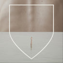 Reuben And The Dark - Arms Of A Dream (Vinyle Usagé)