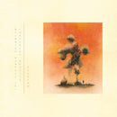 Eluvium - (Whirring Marvels In) Consensus Reality (Vinyle Usagé)