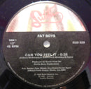 Fat Boys - Can You Feel it (Vinyle Usagé)