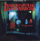 Various - Psychedelic Unknowns Vol  3 (Vinyle Neuf)