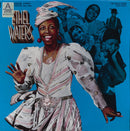 Ethel Waters - On Stage and Screen (1925-1940) (Vinyle Usagé)