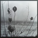 Recondite - Placid (Vinyle Usagé)