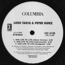 Lord Tariq & Peter Gunz - Startin' Somethin (Vinyle Usagé)
