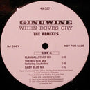 Ginuwine - When Doves Cry (The Remixes) (Vinyle Usagé)