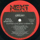 Ceejay - A Little Love (Whats Going On) (Vinyle Usagé)