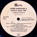 Various - Have A Nice Trip (Vinyle Usagé)