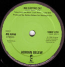 Adrian Belew - Big Electric Cat / The Lone Rhinoceros (Vinyle Usagé)