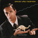 David Van Tieghem - These Things Happen (Vinyle Usagé)