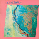 Jon Hassell / Brian Eno - Fourth World Vol 1 : Possible Musics (Vinyle Usagé)