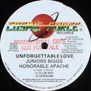 Junior Biggs / Honorable Apache / Singer Mikey / Fleshy Ranks - Unforgettable Love / Come To Me (Vinyle Usagé)