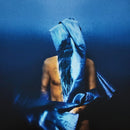 Devendra Banhart - Flying Wig (Vinyle Usagé)