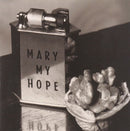 Mary My Hope - Museum (Vinyle Usagé)