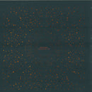 Bonobo - Flashlight EP (Vinyle Usagé)