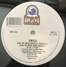 Anika - Burn The House Down (Vinyle Usagé)