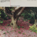 Strangeness Beauty - Back To Nowhere (Vinyle Usagé)