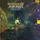 Various / Bream - The Woods So Wild (Vinyle Usagé)