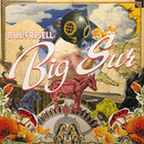Bill Frisell - Big Sur (Vinyle Usagé)