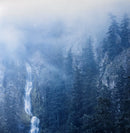 Wolves In The Throne Room - Diadem Of 12 Stars (Vinyle Usagé)
