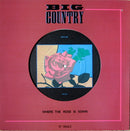 Big Country - Where the Rose is Sown (Vinyle Usagé)
