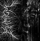 Burier - Burier II (Vinyle Usagé)